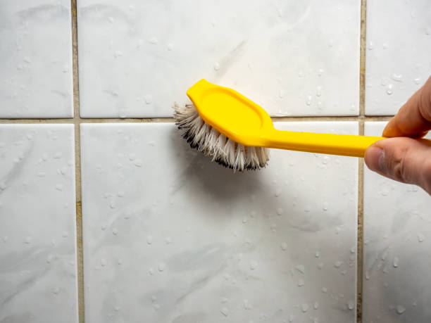 Best Post-Remediation Services in Oakland, OK