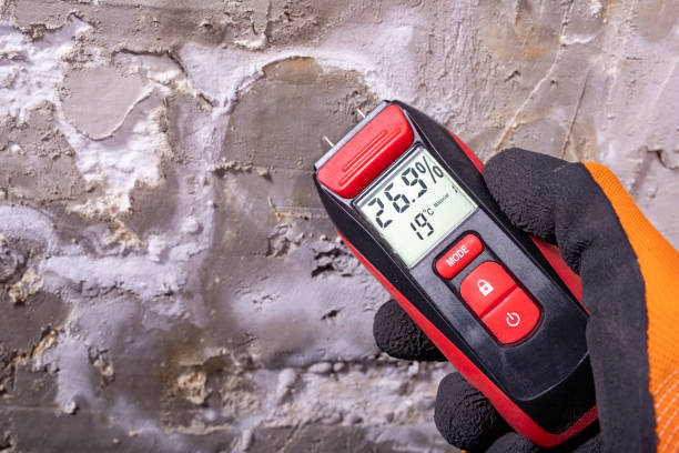Best Localized Mold Remediation (e.g., coastal areas, humid climates) in Oakland, OK