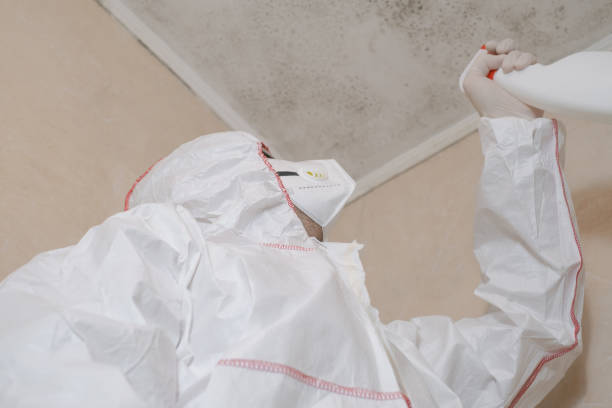 Best Commercial Mold Remediation in Oakland, OK